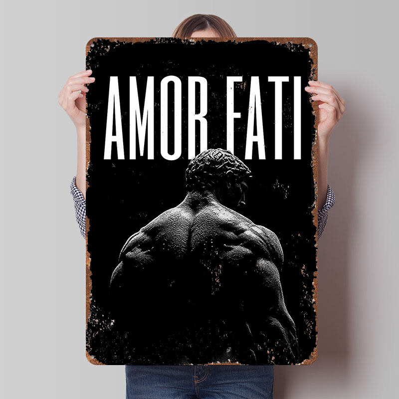 Stoicism Stoic Quote Amor Fati - Retro Gaming Quotes reseña y precio